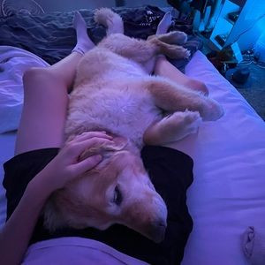 Meet your Posher, Gabel